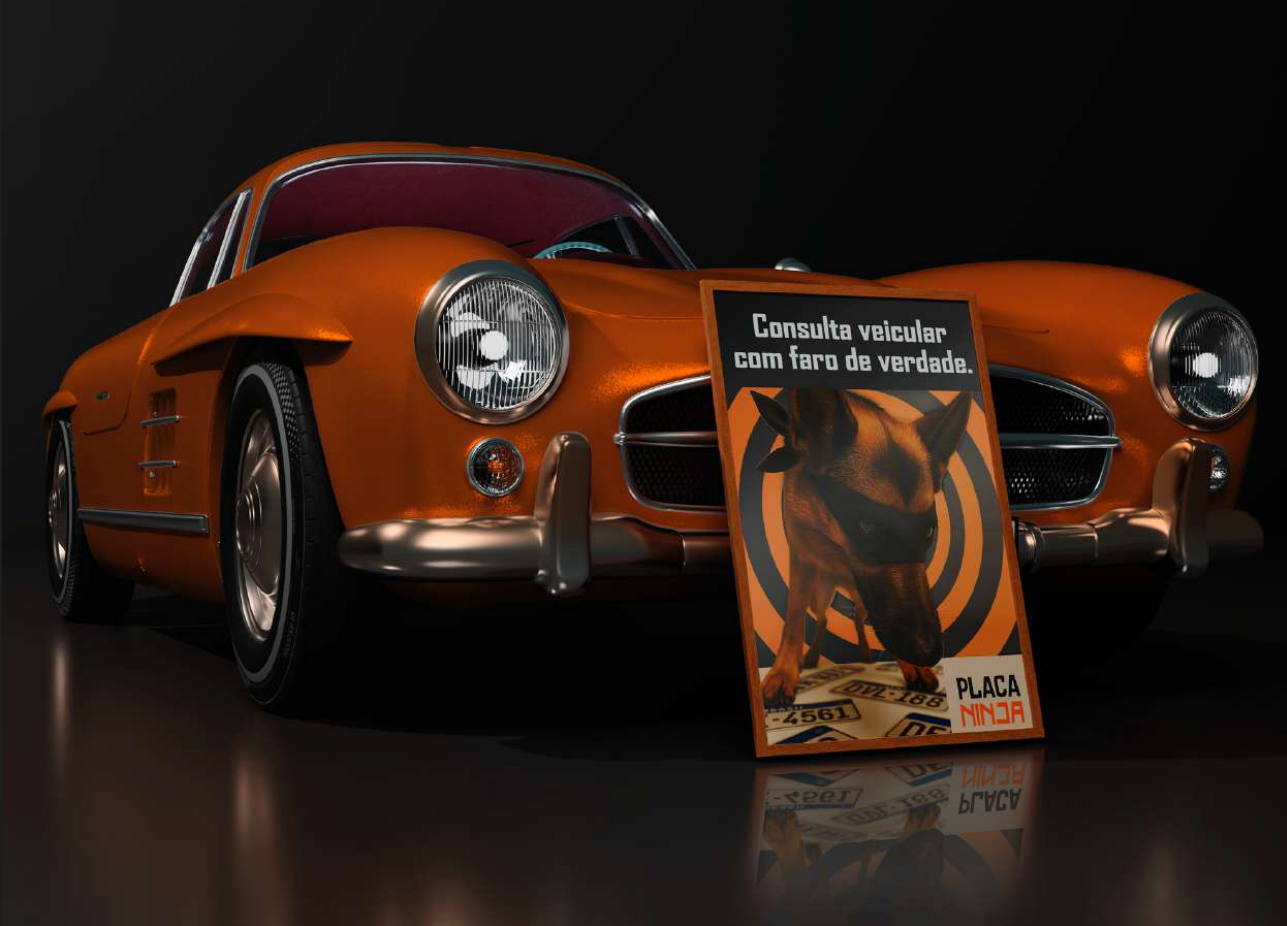 Sobre o Placa Ninja